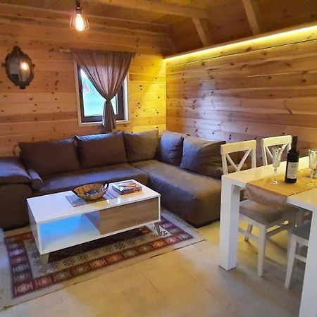 Mountain House Bjanka Villa Žabljak Exteriör bild