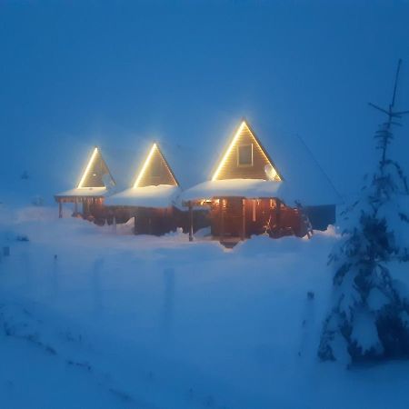 Mountain House Bjanka Villa Žabljak Exteriör bild